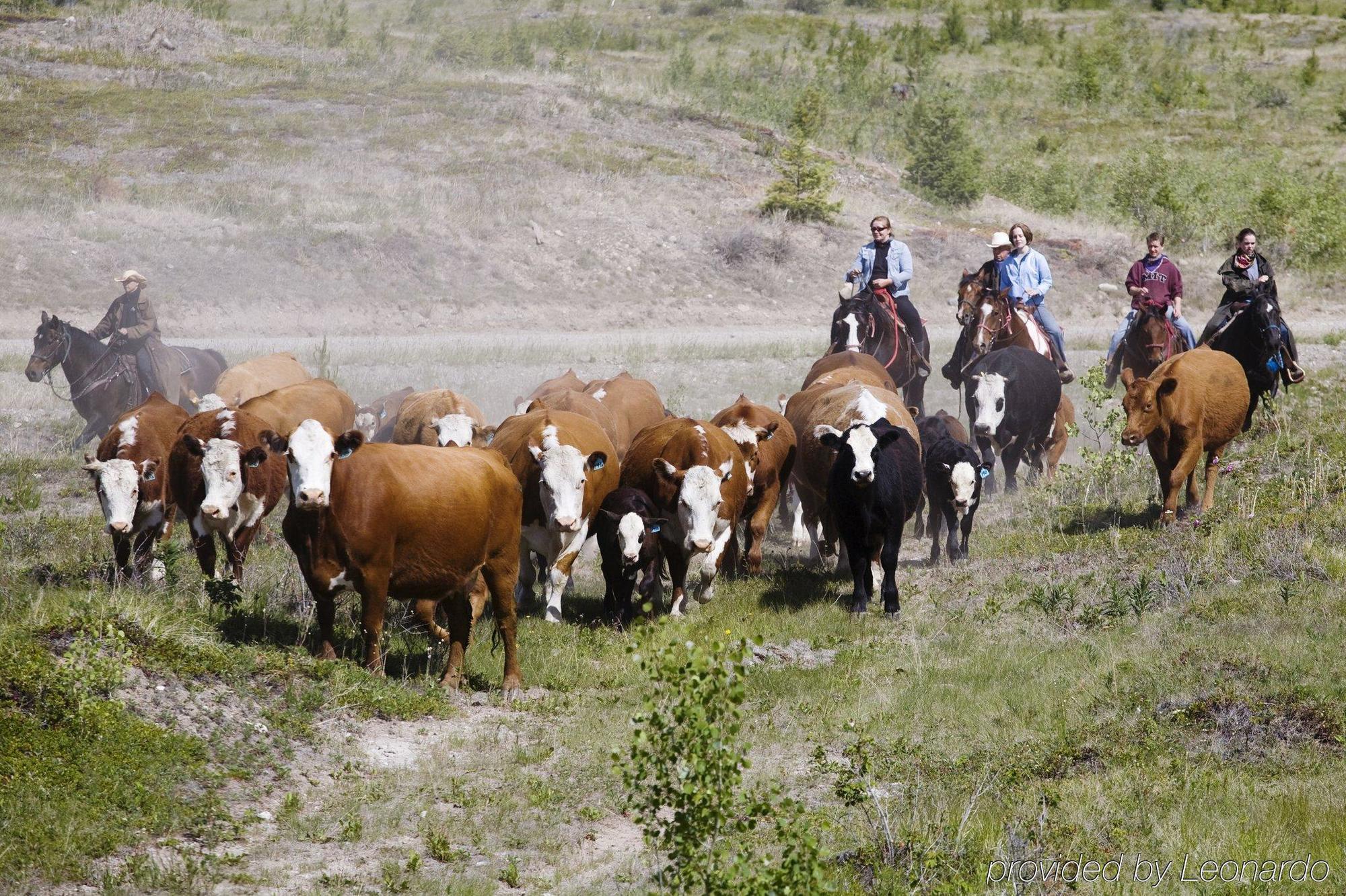 Clinton Echo Valley Ranch And Spa المظهر الخارجي الصورة