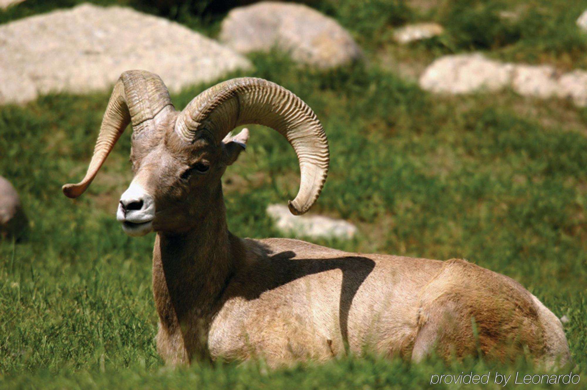 Clinton Echo Valley Ranch And Spa المظهر الخارجي الصورة